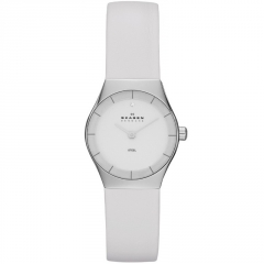 Ремешок Skagen SKW2047