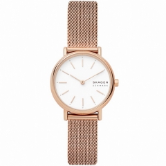 Ремешок Skagen SKW2694