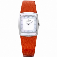 Ремешок Skagen 855SSLO