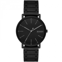 Ремешок Skagen SKW6914