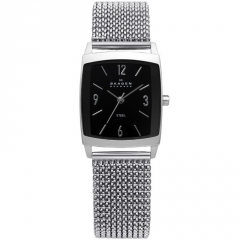 Ремешок Skagen 691SSSB1