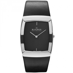 Ремешок Skagen 584LSLM