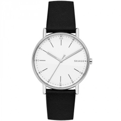 Ремешок Skagen SKW6353