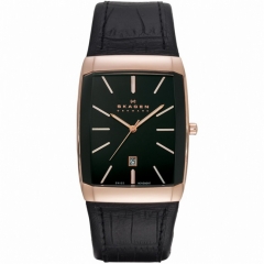 Ремешок Skagen 984LRLB