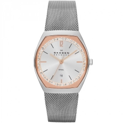 Ремешок Skagen SKW2051