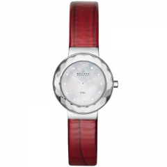 Ремешок Skagen SKW2109