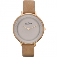 Ремешок Skagen SKW2215