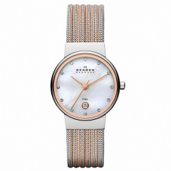 Ремешок Skagen 355SSRS