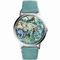 Ремешок Fossil ES4166