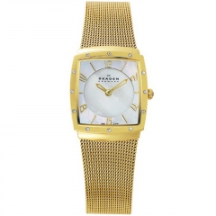 Ремешок Skagen 396XSGG
