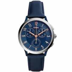 Ремешок Fossil CH3072