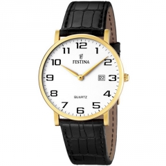 Ремешок Festina F16478/1