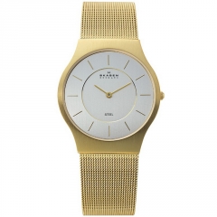 Ремешок Skagen 233LGG