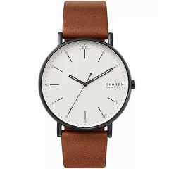Ремешок Skagen SKW6550