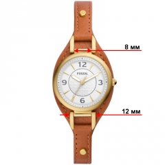 Ремешок Fossil ES5215