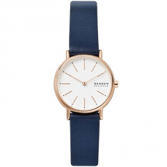 Ремешок Skagen SKW2838