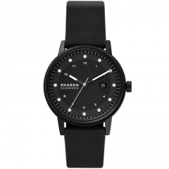 Ремешок Skagen SKW6740