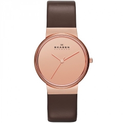 Ремешок Skagen SKW2065