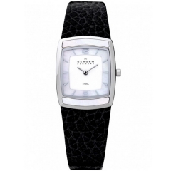 Ремешок Skagen 855SSLB
