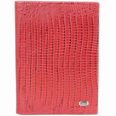 Обложка для автодокументов Petek 584.041.10