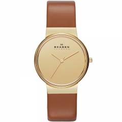 Ремешок Skagen SKW2064