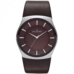 Ремешок Skagen SKW6016
