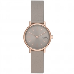 Ремешок Skagen SKW3060