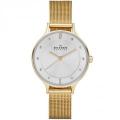 Ремешок Skagen SKW2150