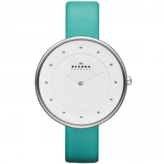 Ремешок Skagen SKW2134