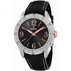 Ремешок Festina F20243/6