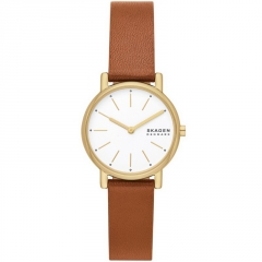 Ремешок Skagen SKW3121