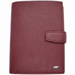 Обложка для паспорта и автодокументов Petek 596.155.03