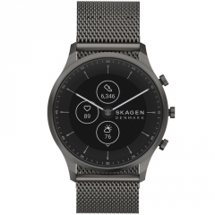 Ремешок Skagen SKT3200