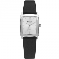 Ремешок Skagen 691SSLS