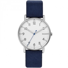 Ремешок Skagen SKW6356