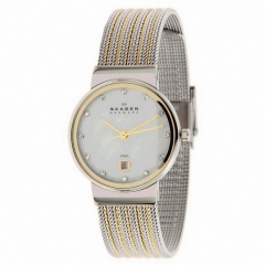 Ремешок Skagen 355SSGS