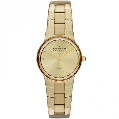 Ремешок Skagen SKW2073