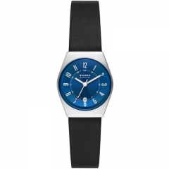 Ремешок Skagen SKW3036