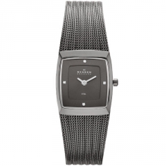 Ремешок Skagen 380XSMMM1