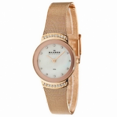 Ремешок Skagen 812SRR