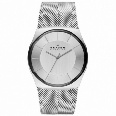 Ремешок Skagen SKW6067