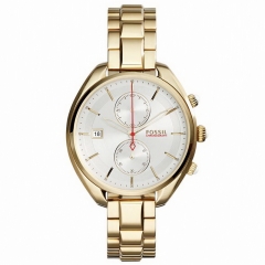 Ремешок Fossil CH2976