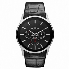 Ремешок Skagen SKW6000