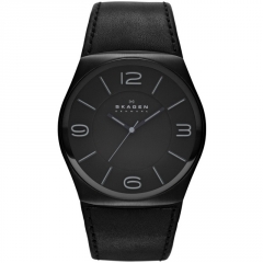 Ремешок Skagen SKW6043