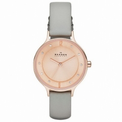 Ремешок Skagen SKW2148