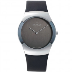 Ремешок Skagen 582XLSLC