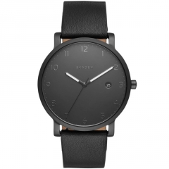 Ремешок Skagen SKW6308