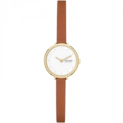 Ремешок Skagen SKW3041