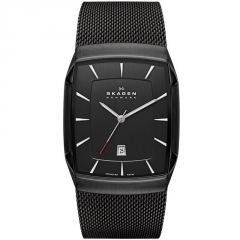 Ремешок Skagen SKW6011