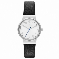 Ремешок Skagen SKW2188